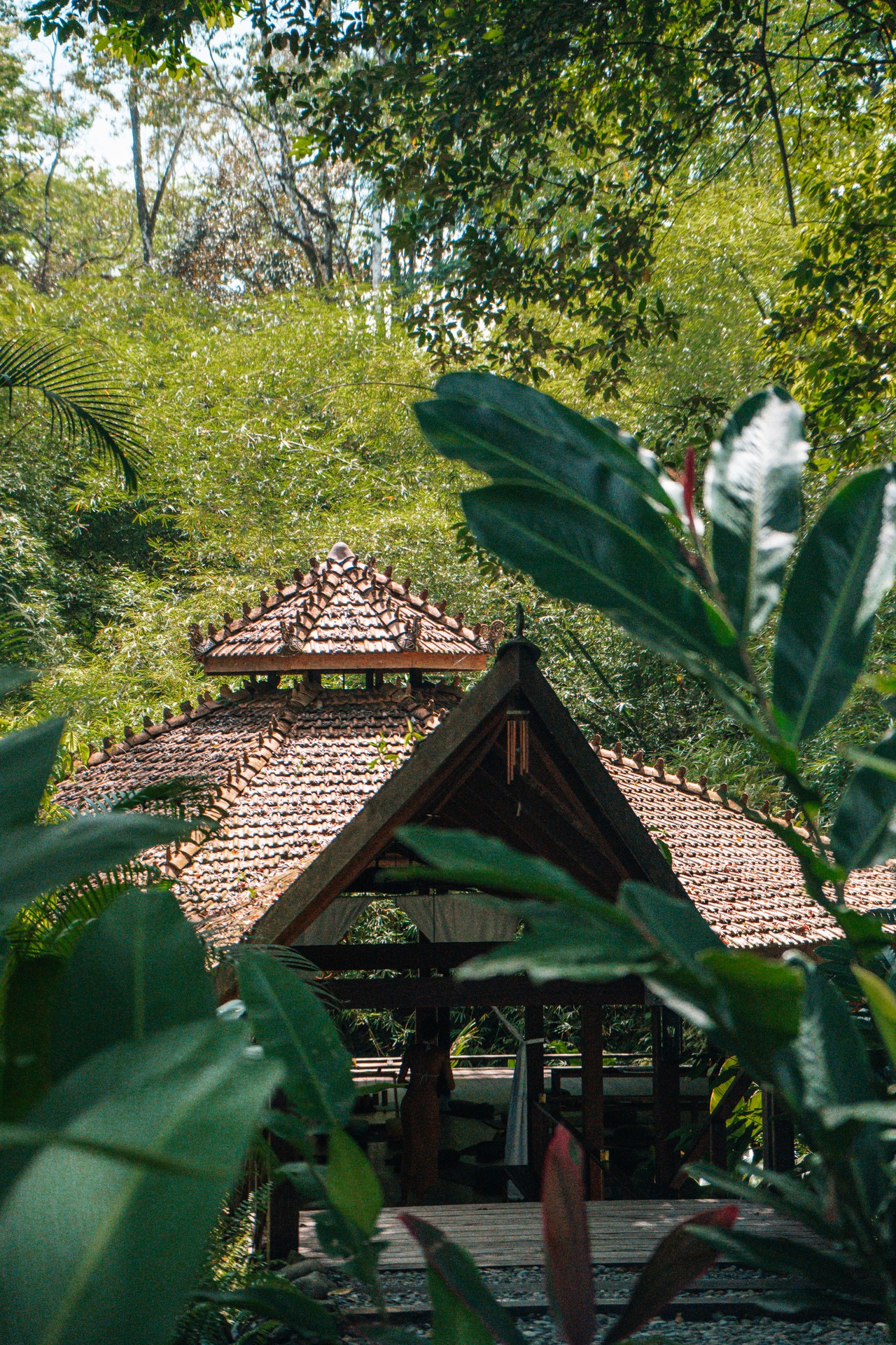 Supplied image from La Coralina Island House